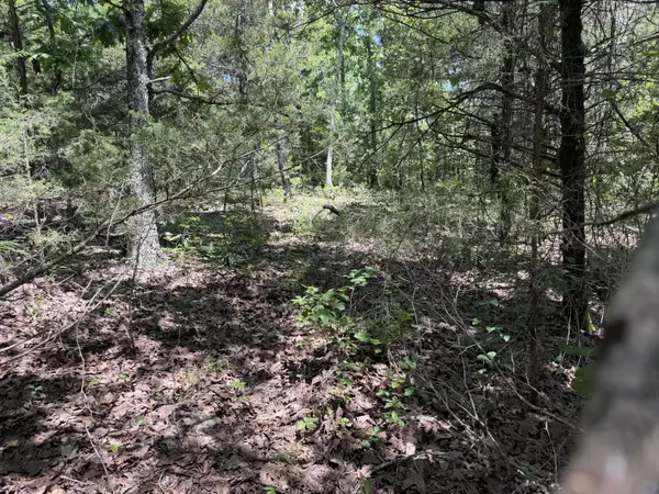 000 Ranch Road, Willow Springs, MO 65793