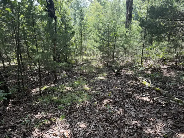 000 Ranch Road, Willow Springs, MO 65793