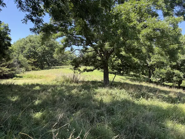 5219 Cowan Ridge RD, Powell, MO 65730