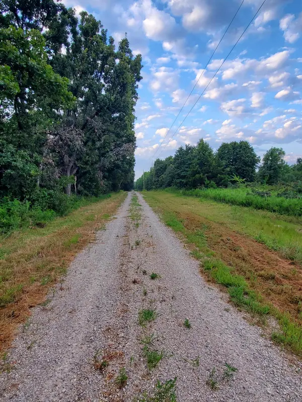 Lot 2 County Rd 2100, Mt Vernon, MO 65712