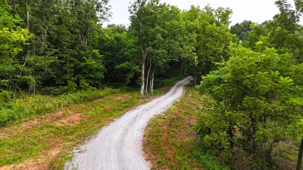 Lot 2 County Rd 2100, Mt Vernon, MO 65712