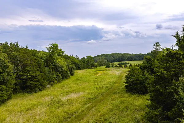 7121 County Road 1460, West Plains, MO 65775