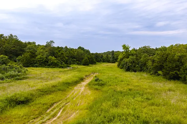 7121 County Road 1460, West Plains, MO 65775