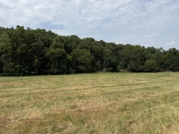 Tract 1 W Farm Road 168, Republic, MO 65738