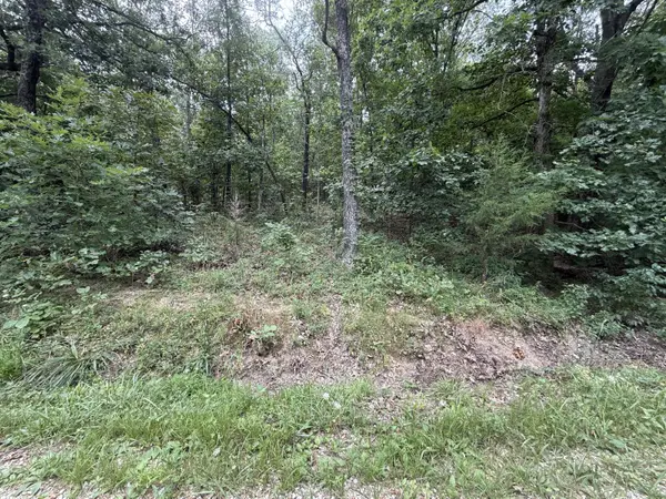 000 Paulson DR, Edwards, MO 65326
