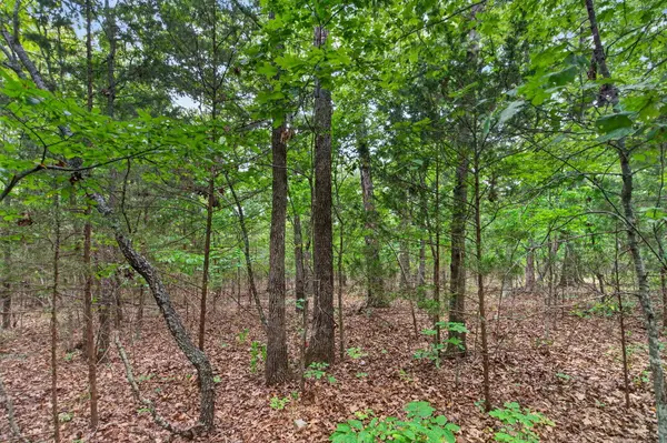 000 Alyeska Point RD #000, Lampe, MO 65681