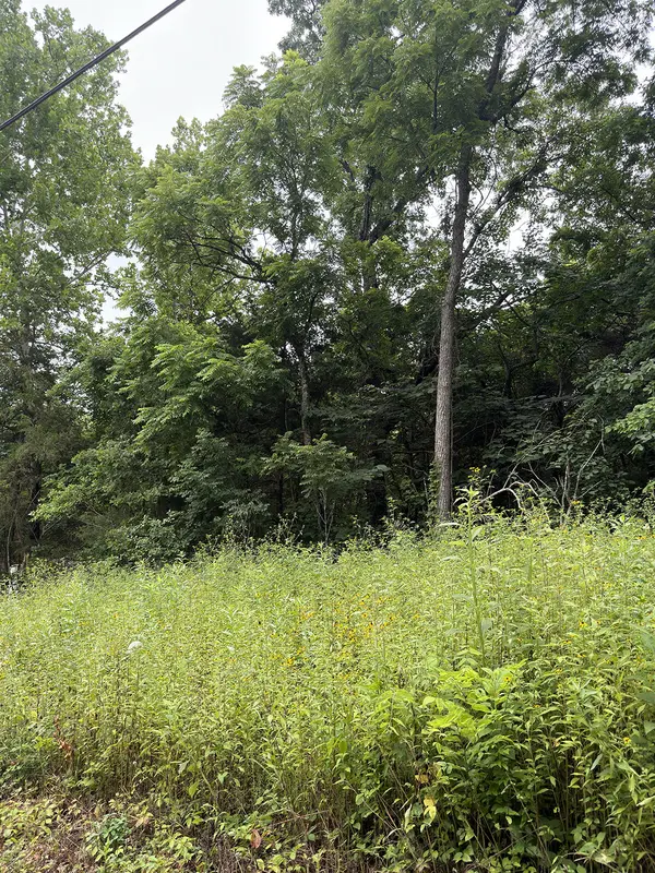 Lot 219 Big Creek RD, Shell Knob, MO 65747