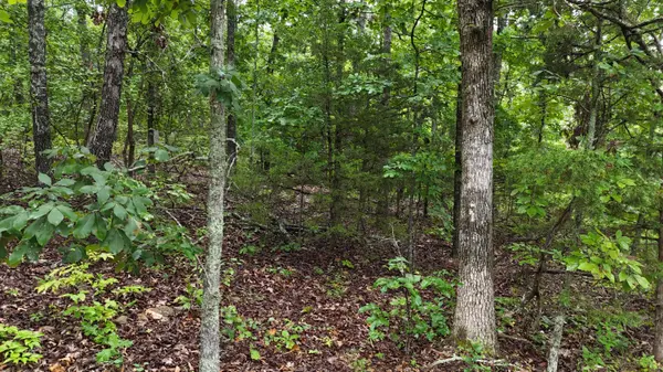 0000 County Road Jj-416, Ava, MO 65608