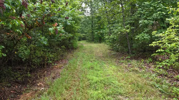 0000 County Road Jj-416, Ava, MO 65608