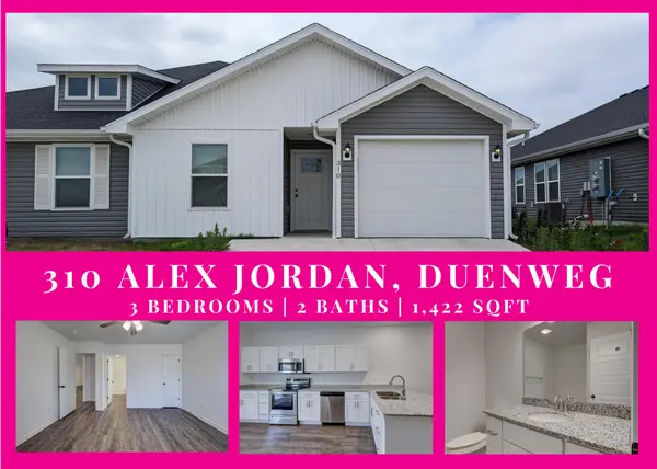 310 Alex Jordan DR, Duenweg, MO 64841