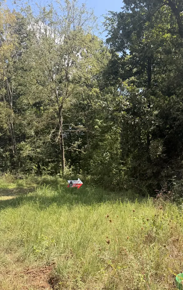 000 Buford RD, Noel, MO 64854