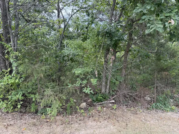 5 Silver Oak WAY, Branson West, MO 65737