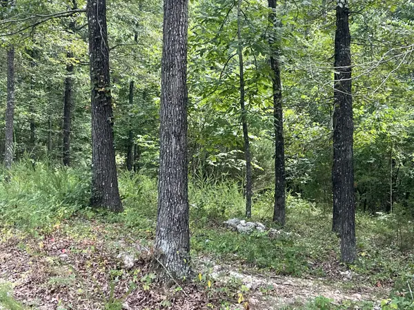 528 Black Oak RD, Mammoth Spring, AR 72554