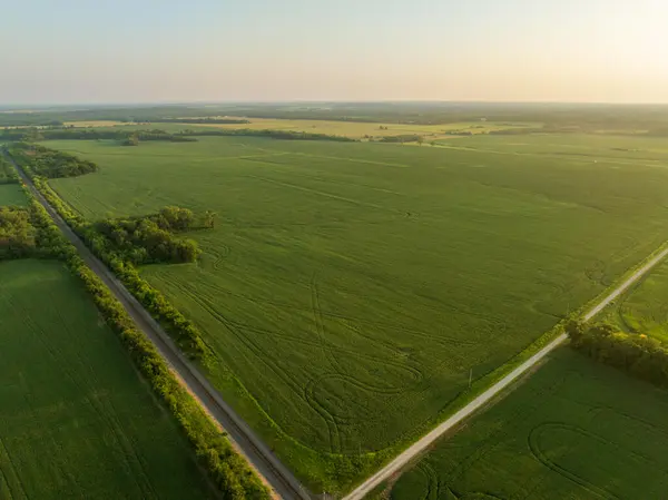 000 S Highway T, Deerfield, MO 64741