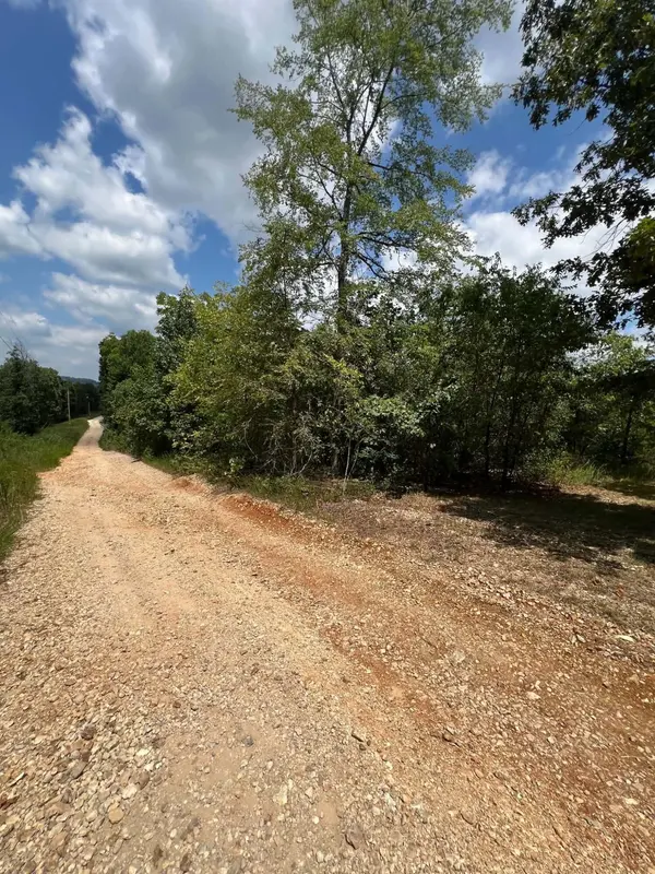 000 Chalet LN, Eagle Rock, MO 65641