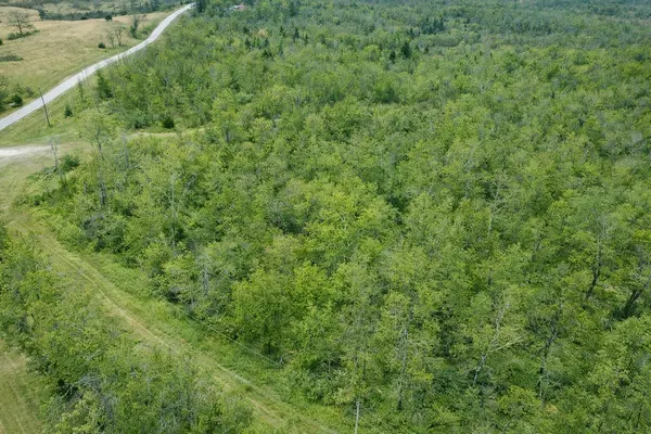 000 A Highway, Thayer, MO 65791