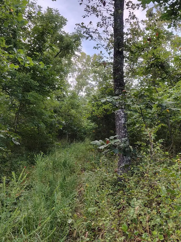 000 County Road 150, Preston, MO 65732