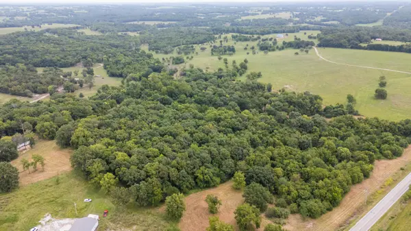 Tract 3 N Farm Road 53, Walnut Grove, MO 65770