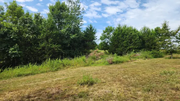 000 Rail Hollow RD, Theodosia, MO 65761