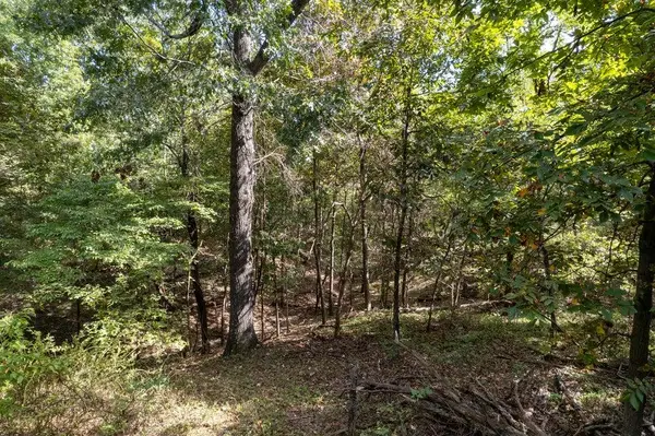 000 Carnell Rd #10 Ac, Rocky Comfort, MO 64861
