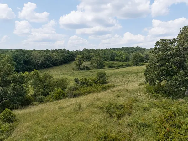 Tbd State Highway E, Hartville, MO 65667