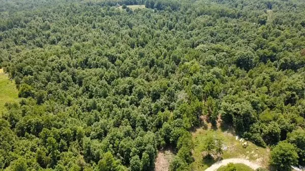 000 County Road 434, Birch Tree, MO 65438