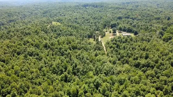000 County Road 434, Birch Tree, MO 65438