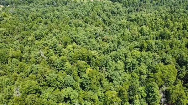 000 County Road 434, Birch Tree, MO 65438