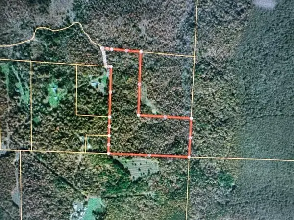 000 County Road 434, Birch Tree, MO 65438