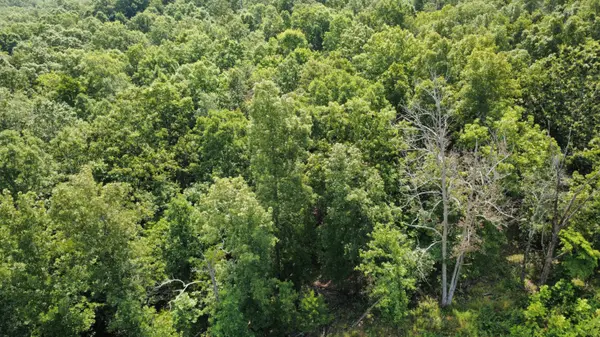 632 Private Road 421-35, West Plains, MO 65775