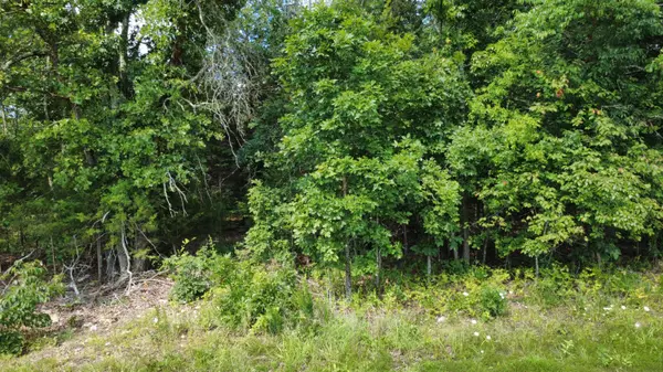 632 Private Road 421-35, West Plains, MO 65775