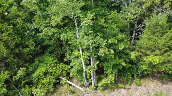 632 Private Road 421-35, West Plains, MO 65775