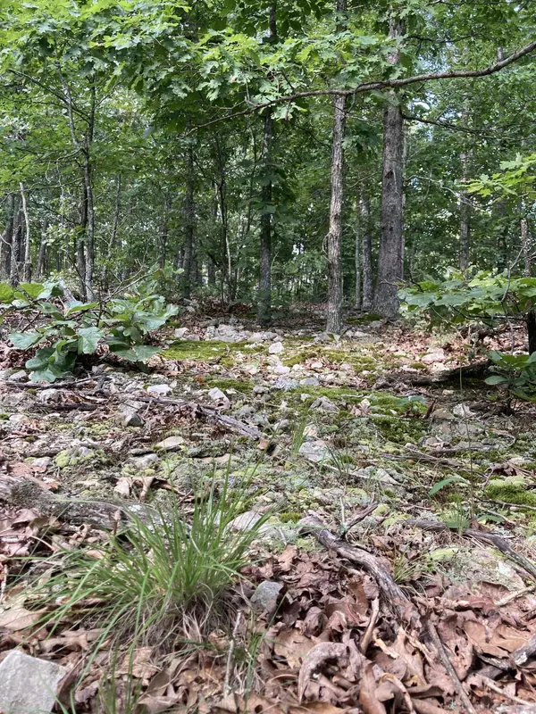 17530 Highway Y #Lot M, Elk Creek, MO 65464
