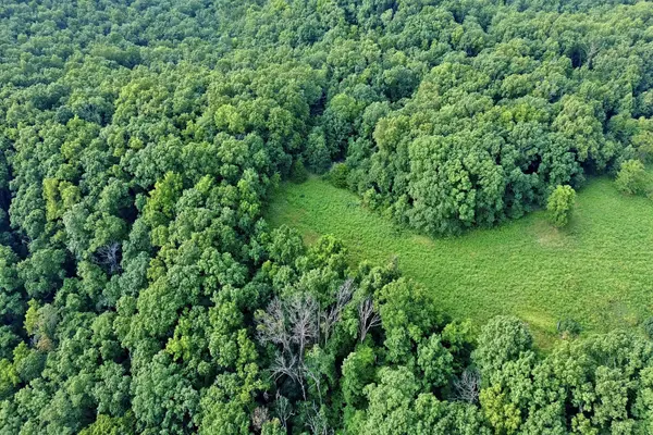 000 Red Bridge Rd, Ozark, MO 65721