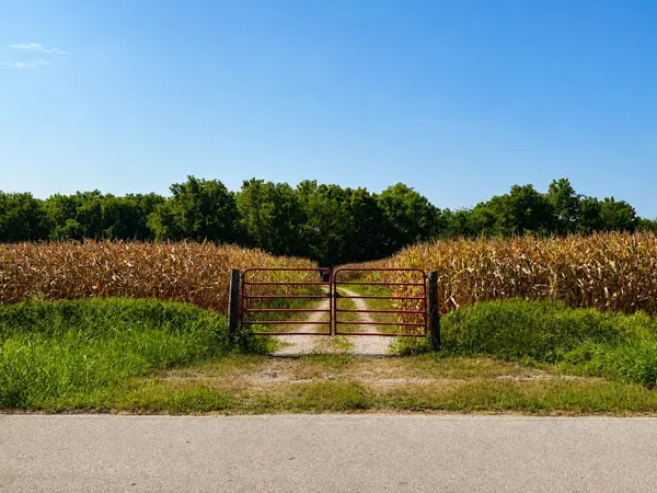 9550 Maple RD, Carthage, MO 64836