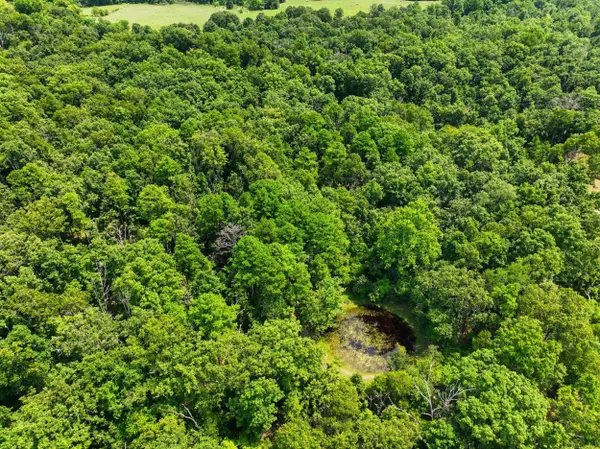 000 State Route 181, Cabool, MO 65689