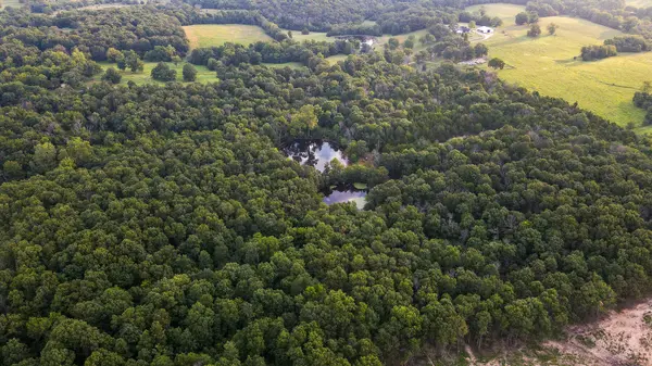 000 County Road 1220, Mt Vernon, MO 65712