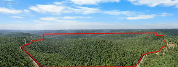 000 Pine Top RD, Hollister, MO 65672
