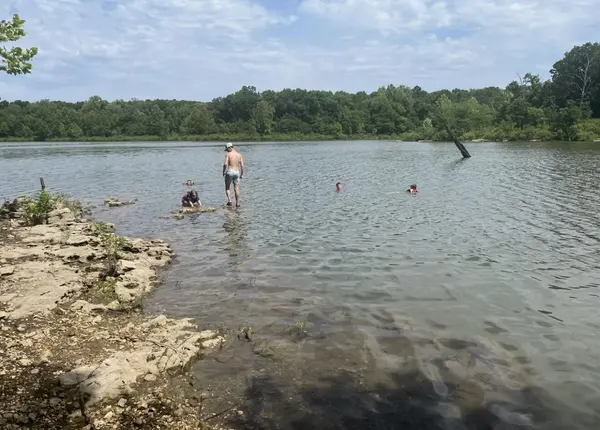 517 County Road 171, Greenfield, MO 65661