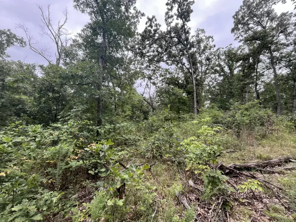 000 Partridge DR, Climax Springs, MO 65324