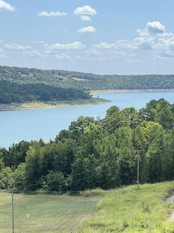 19 Lakeview DR, Theodosia, MO 65761