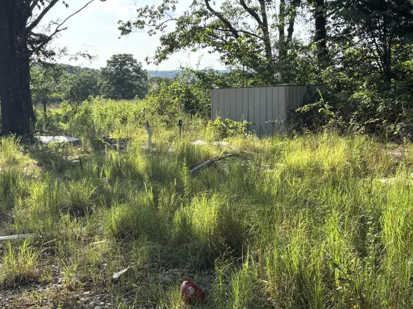 35377 County Road W-264, Vanzant, MO 65768