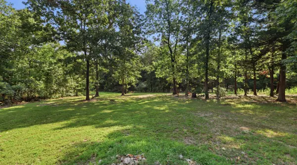 6415 County Road 8680, West Plains, MO 65775
