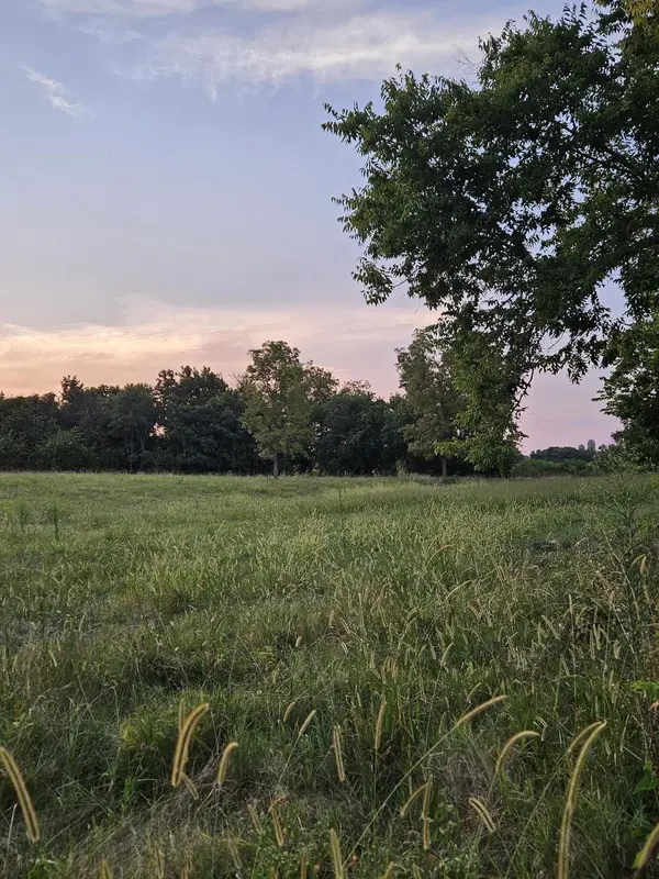 000 Lawrence 1100, Mt Vernon, MO 65712