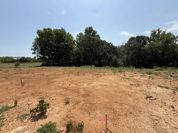 Lot 10 Little ST, Seligman, MO 65745