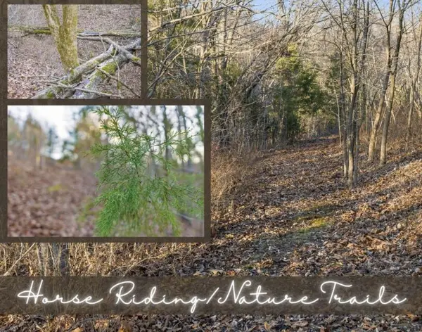 893 Hidden Springs LN, Reeds Spring, MO 65737