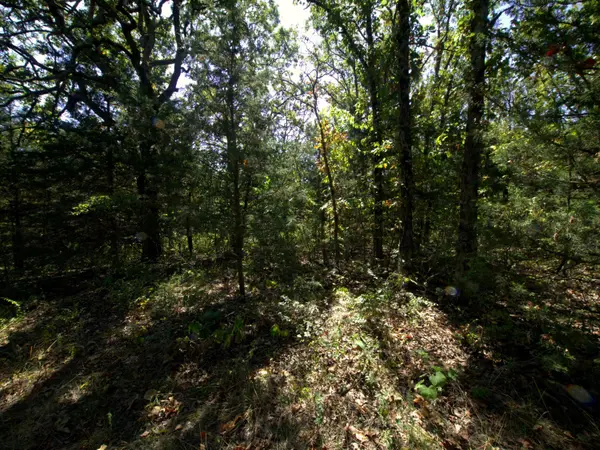Tract 1 Simpson RD, Urbana, MO 65767