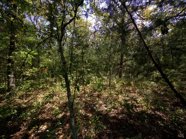 Tract 4 Simpson Rd, Urbana, MO 65767
