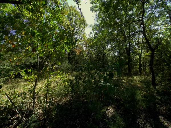 Tract 1&2 Simpson Rd, Urbana, MO 65767