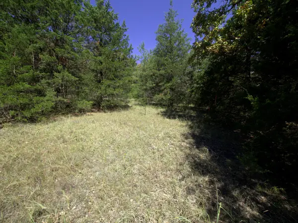 Tract 2&3 Simpson Rd, Urbana, MO 65767